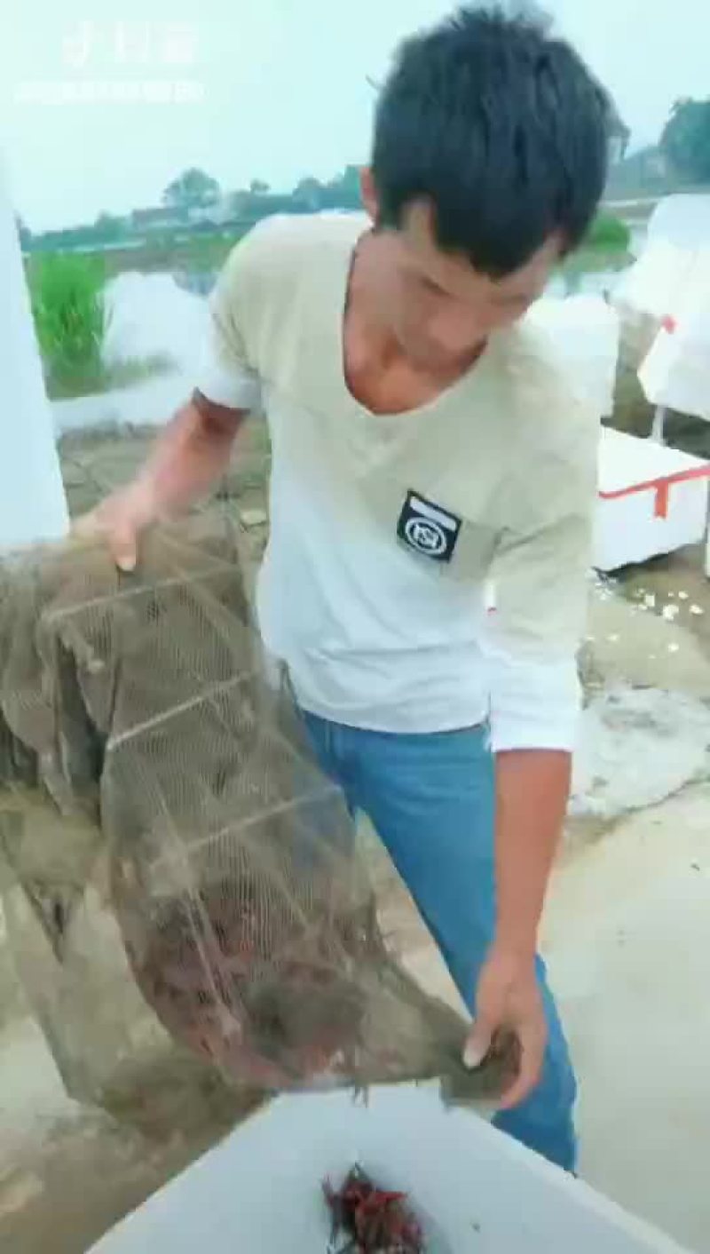 小龙虾