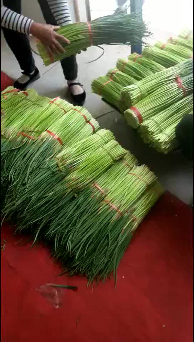 蒜苔
