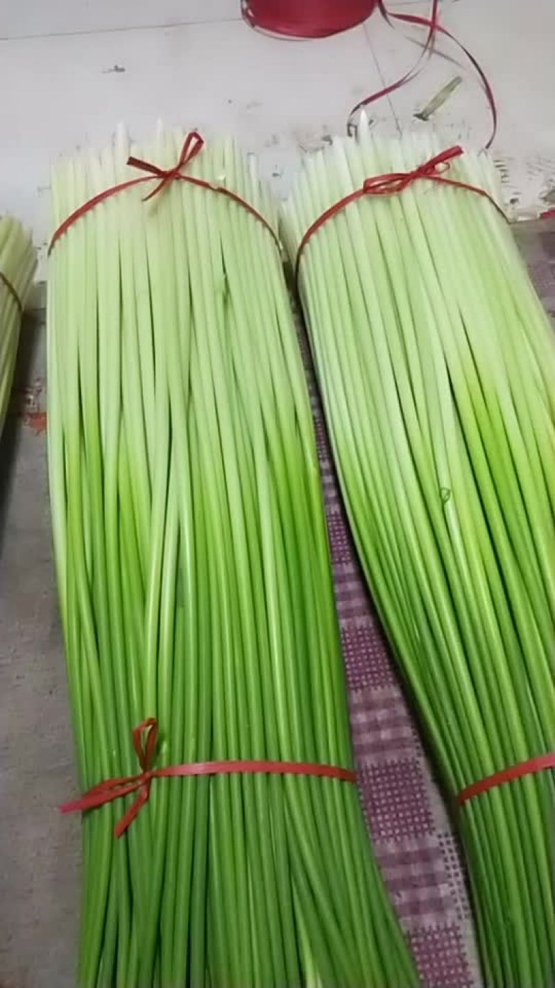 蒜薹