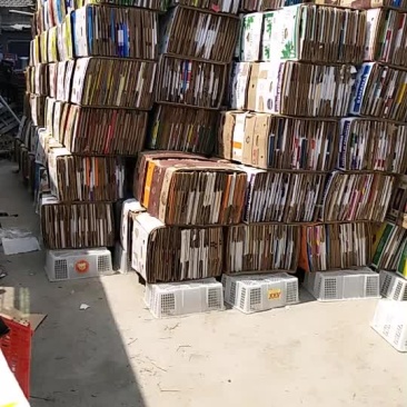 香蕉箱子