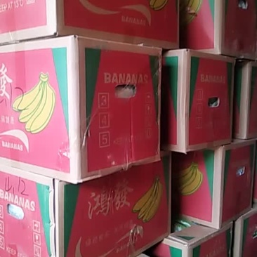 香蕉供应