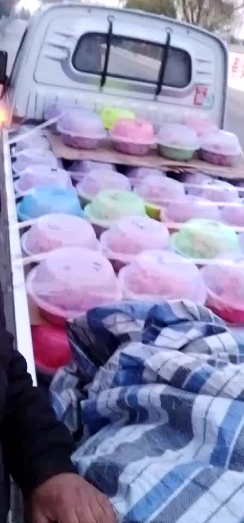 草莓