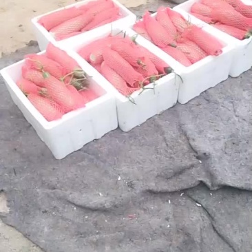 羊角密通货角子要的联系