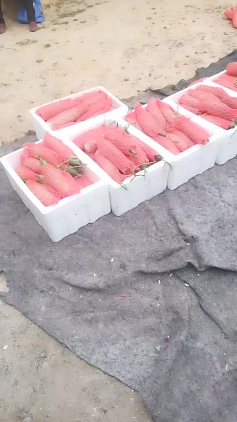 羊角密通货角子要的联系