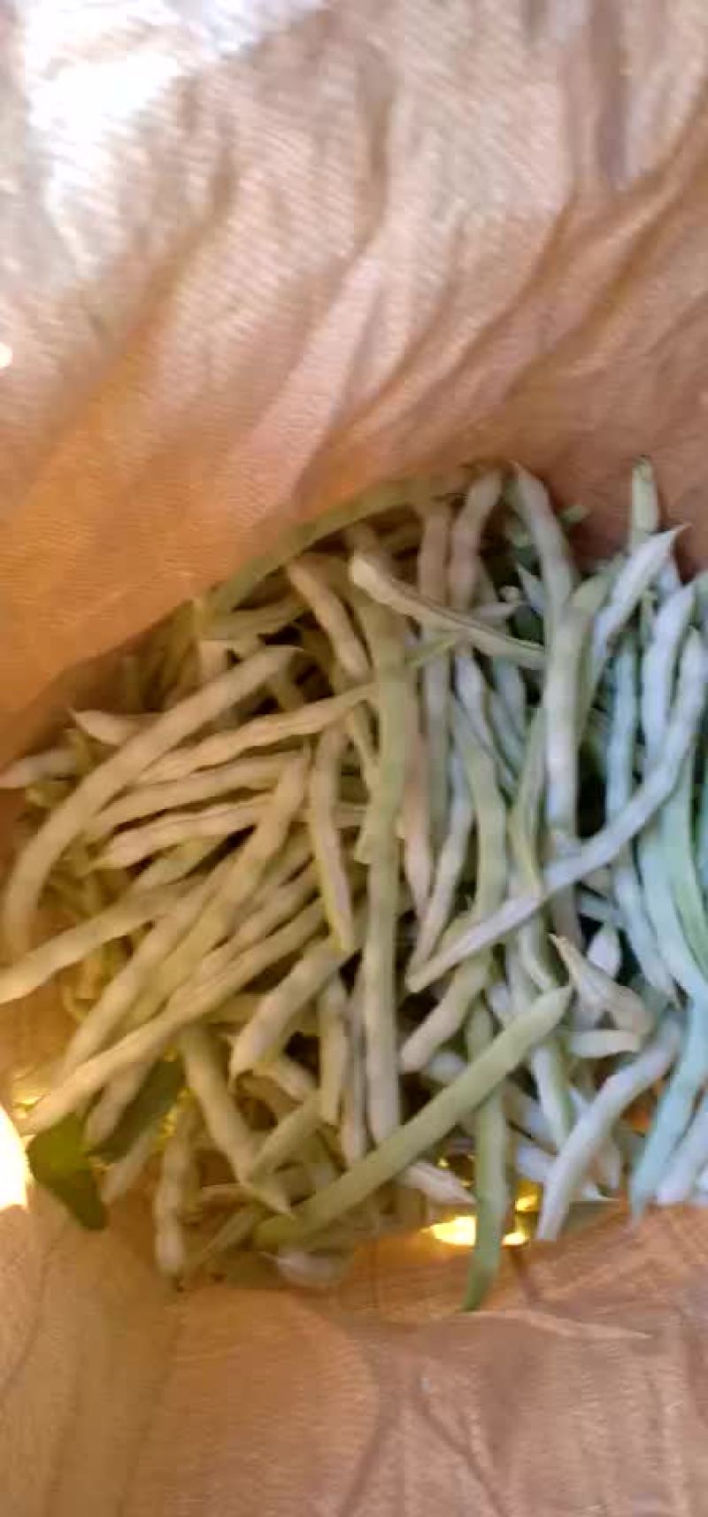 芸豆