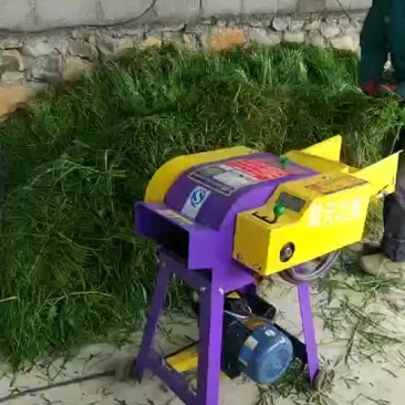 揉丝机