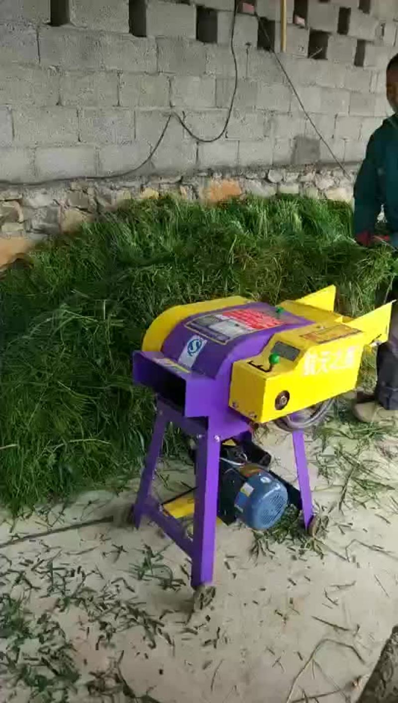 揉丝机