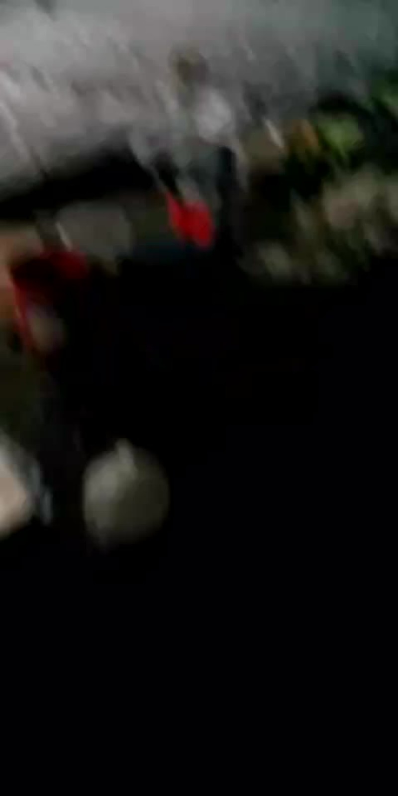 青蛙苗