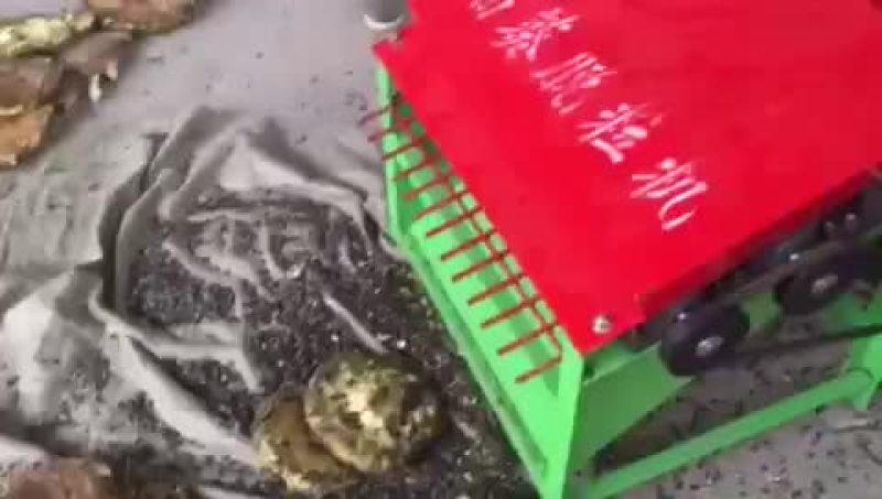 农业花椒棉籽脱壳机葵花籽脱粒机农业机械油葵脱粒机价