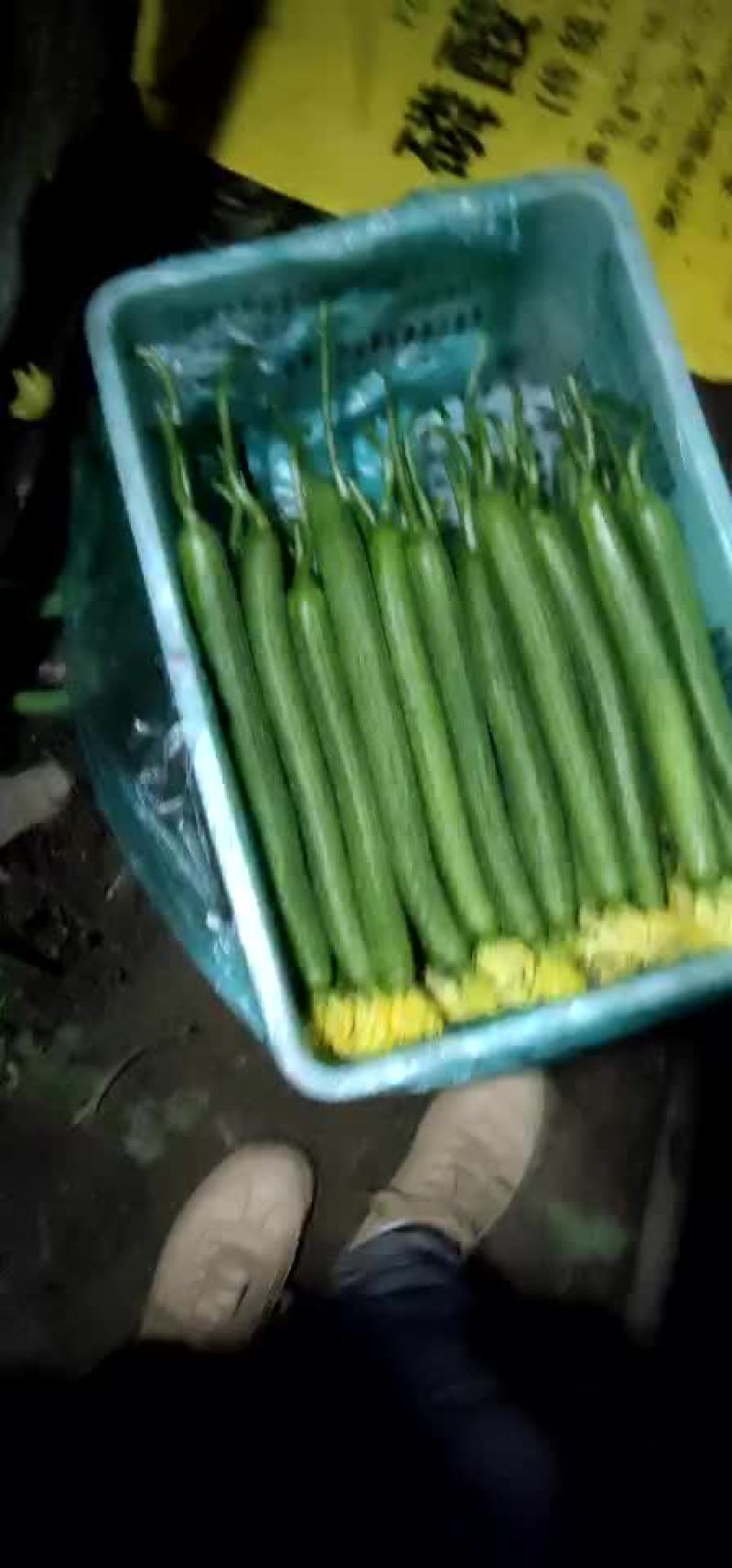 丝瓜大量上市