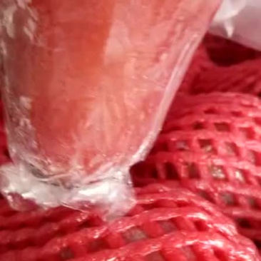 莲雾批发，，，，，，，，，，，，，，，，，，，，