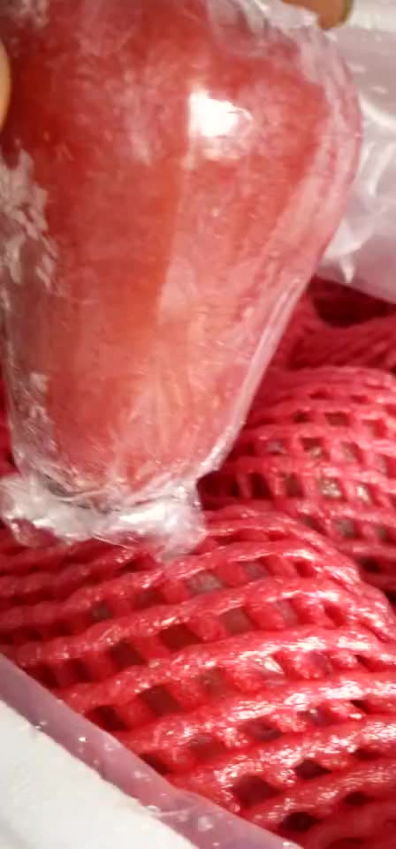 莲雾批发，，，，，，，，，，，，，，，，，，，，
