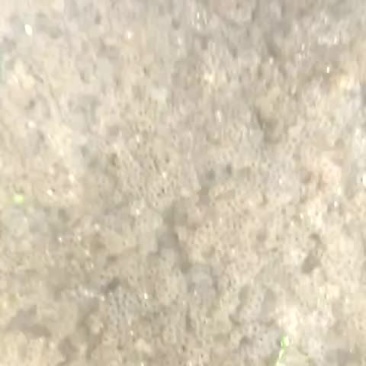 卵块和蝌蚪苗