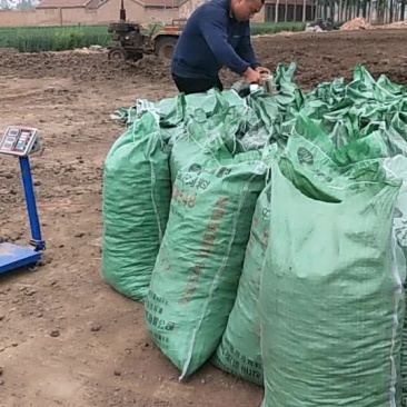 山东德州干鸡粪厂家直销