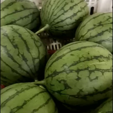 西瓜