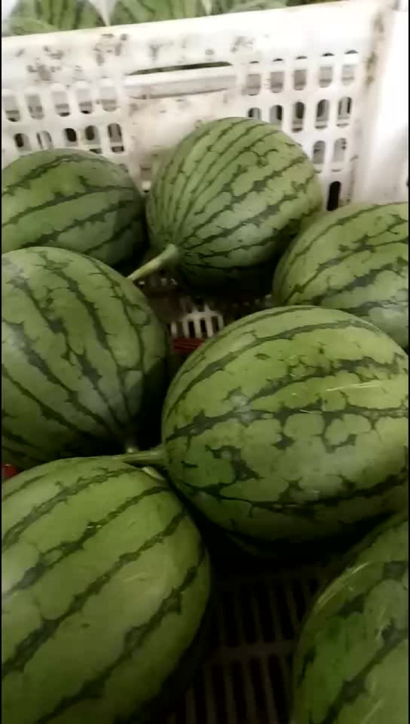 西瓜