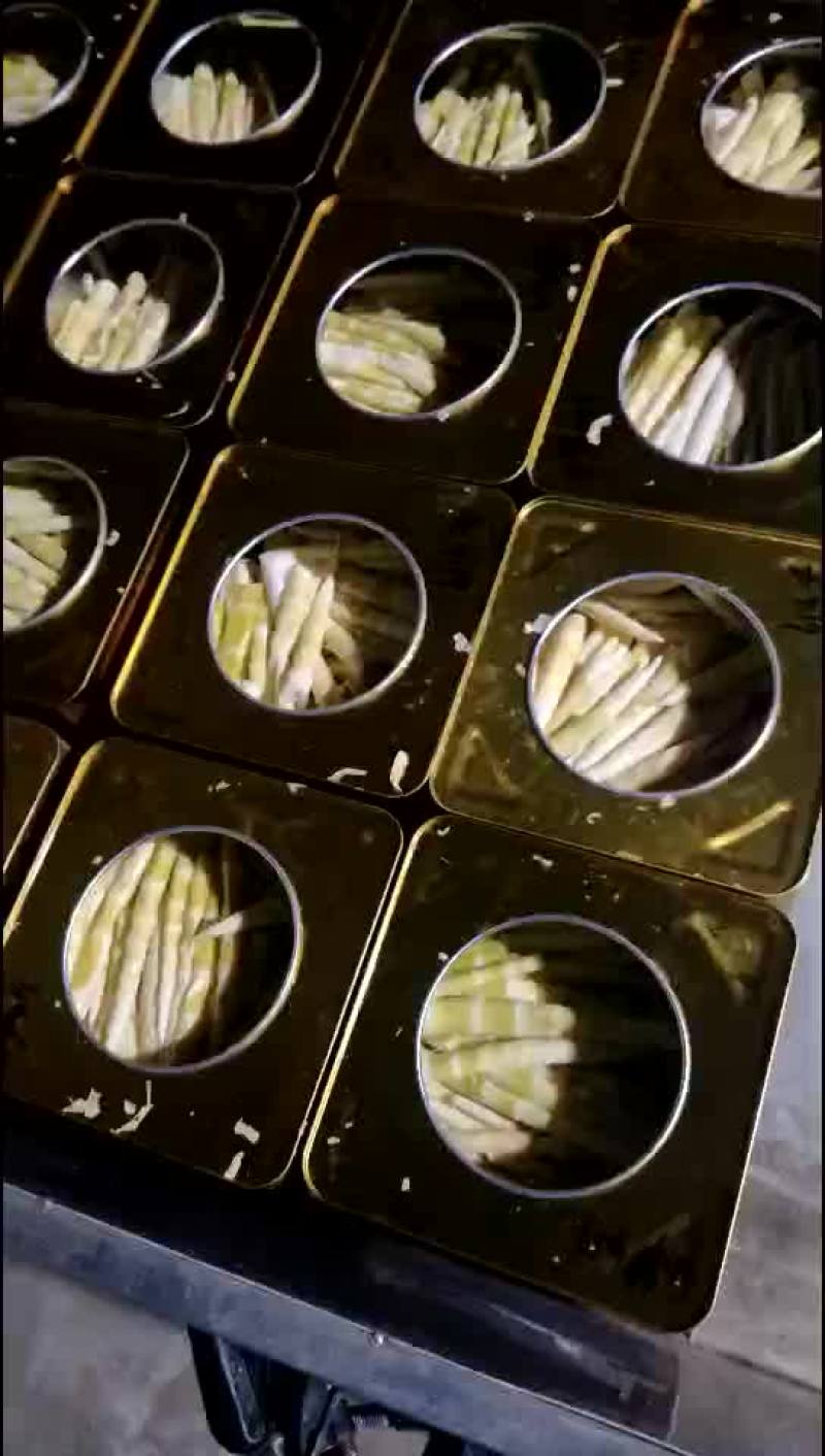 高山纯野生小竹笋罐头