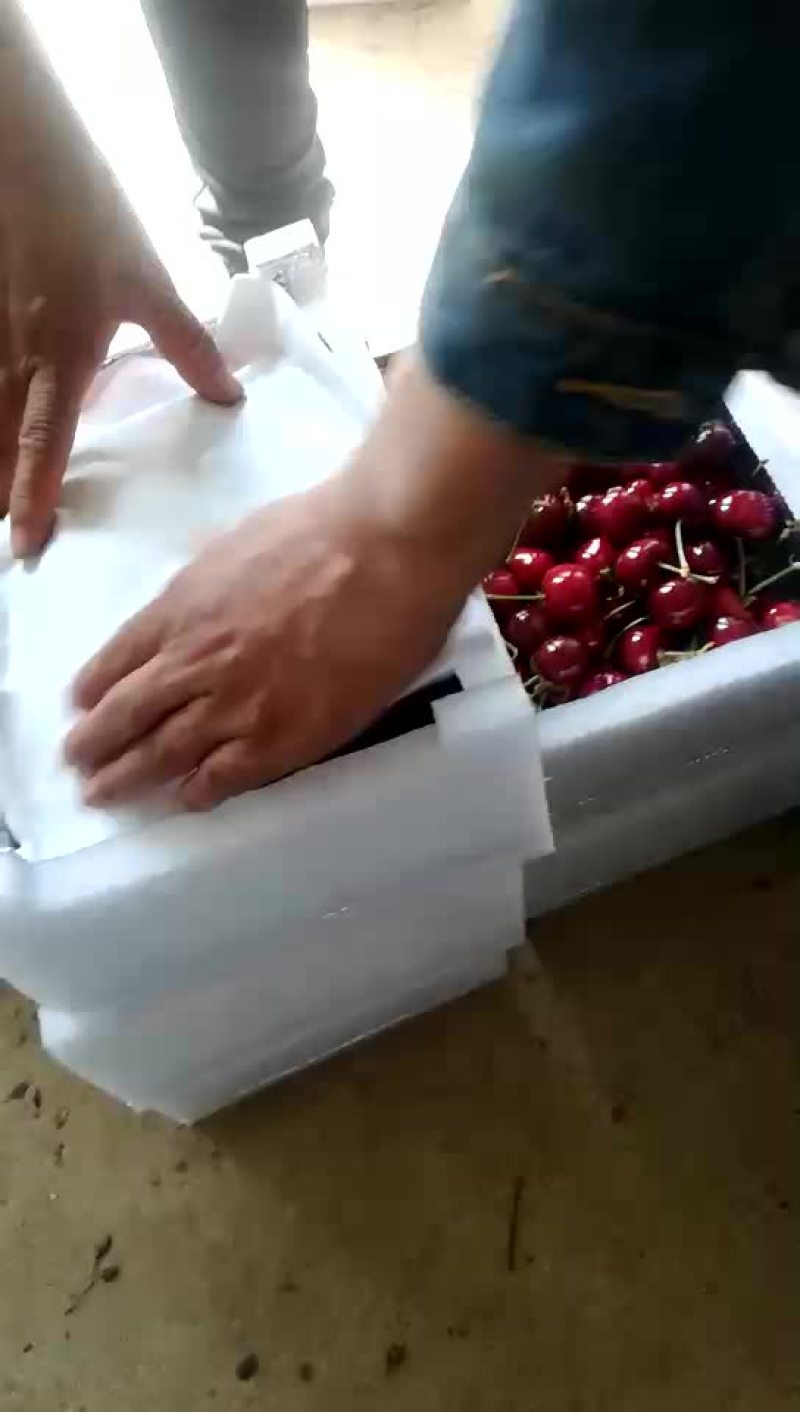 美早
