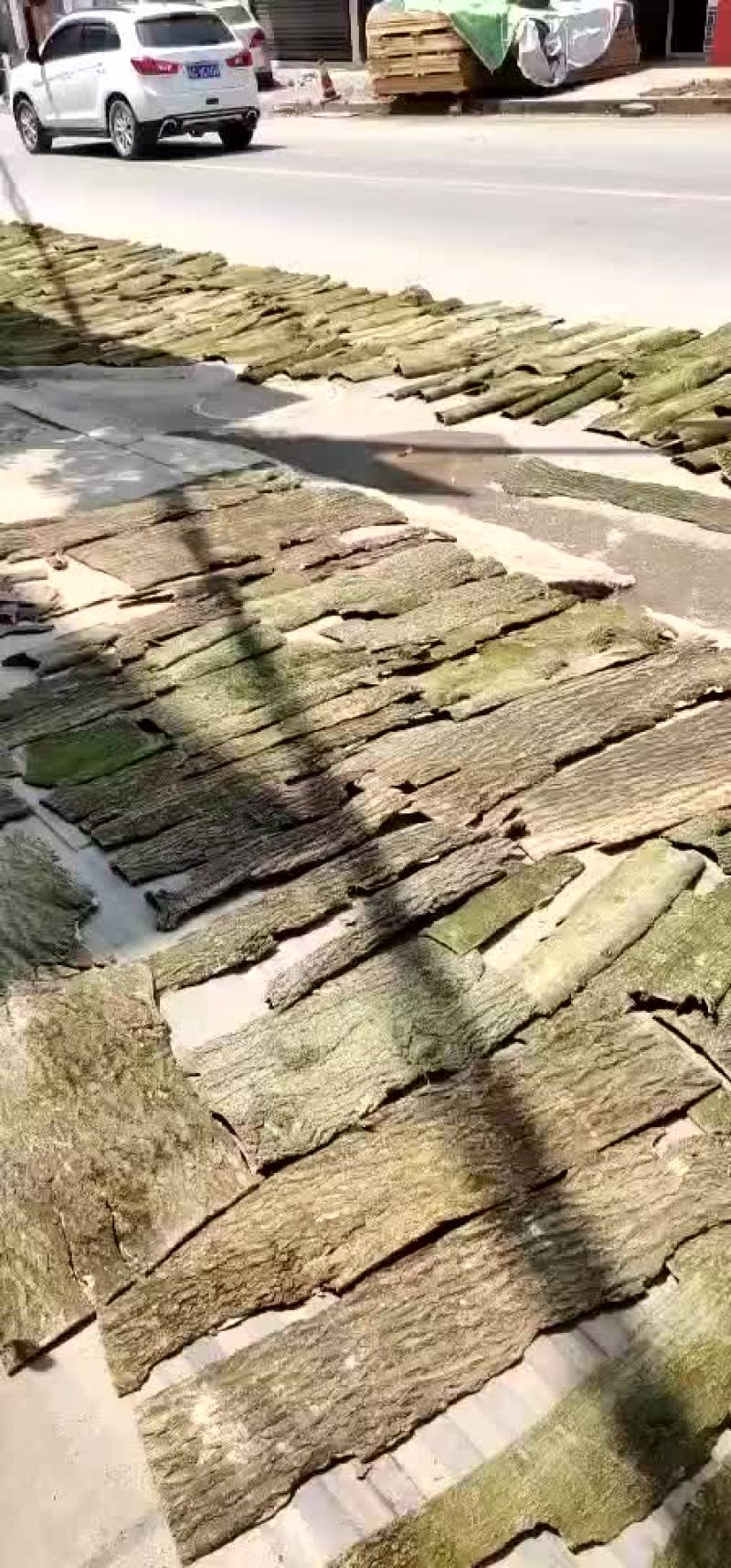 杜仲皮