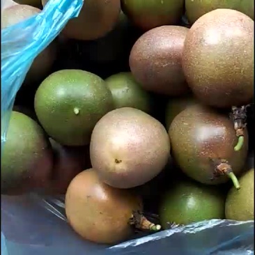 百香果