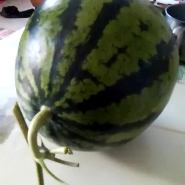 大西瓜