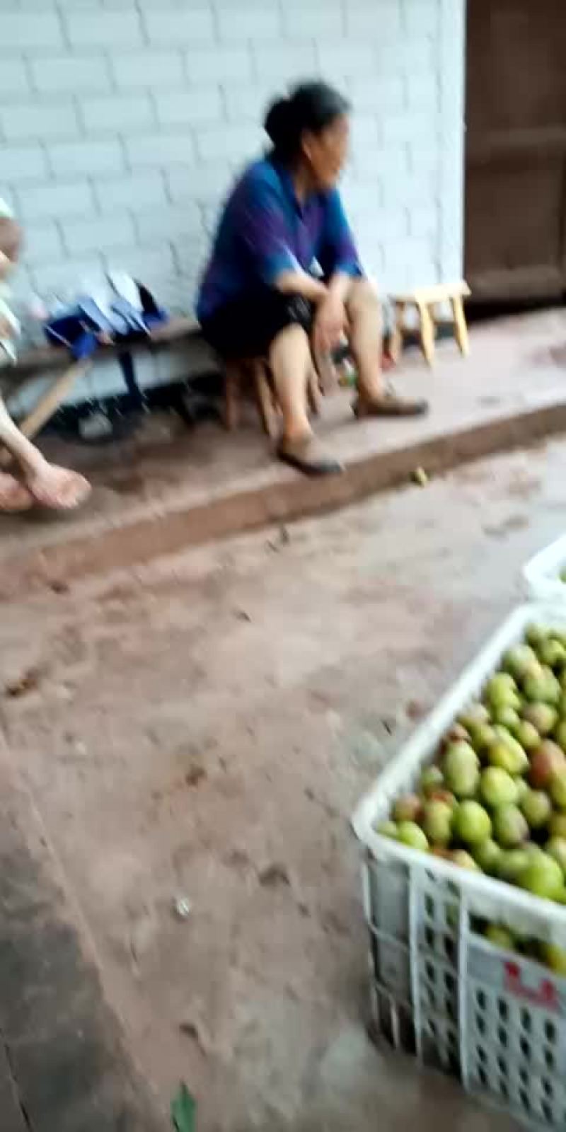 半边红李子