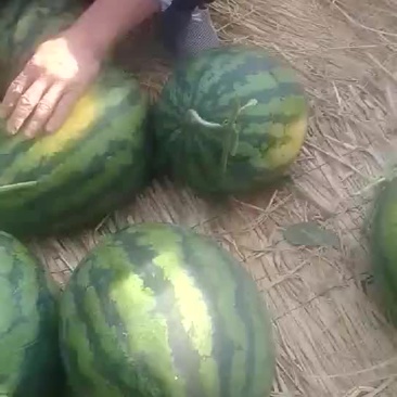 甜王西瓜