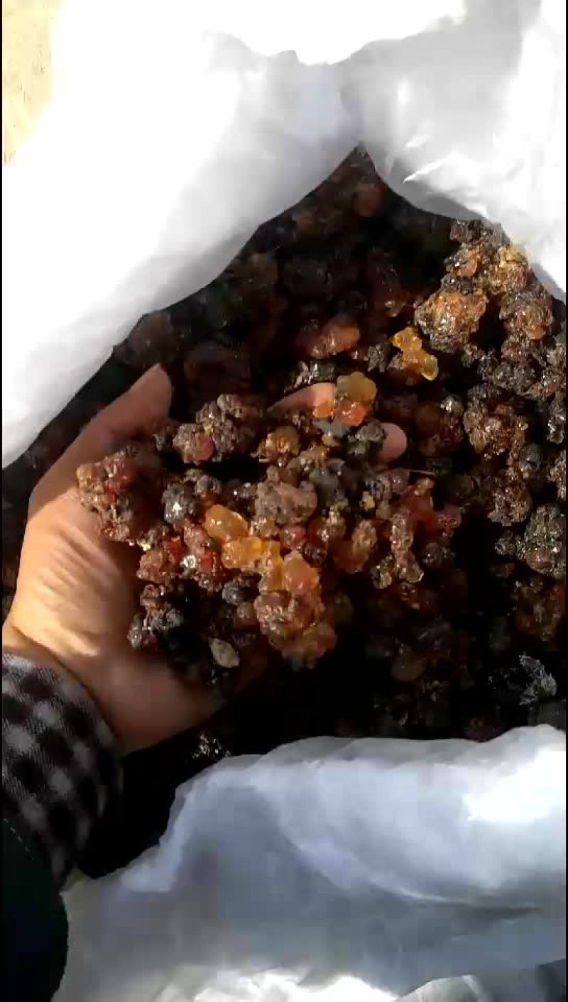 桃胶