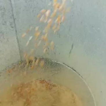饲料颗粒机流水线