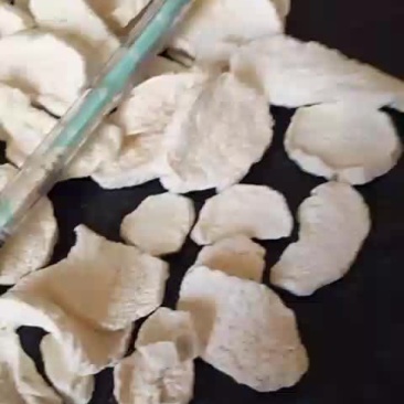 无硫山药圆片