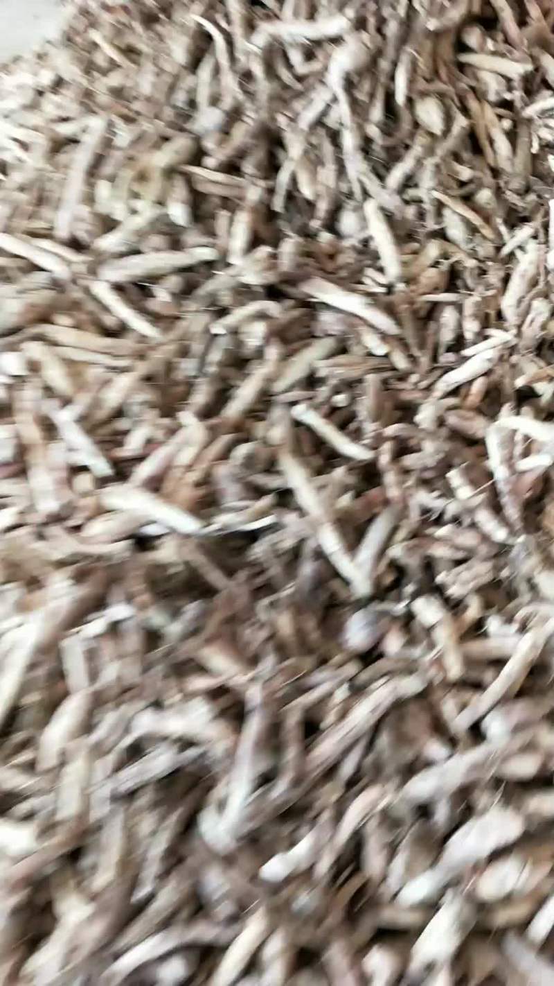 天花粉