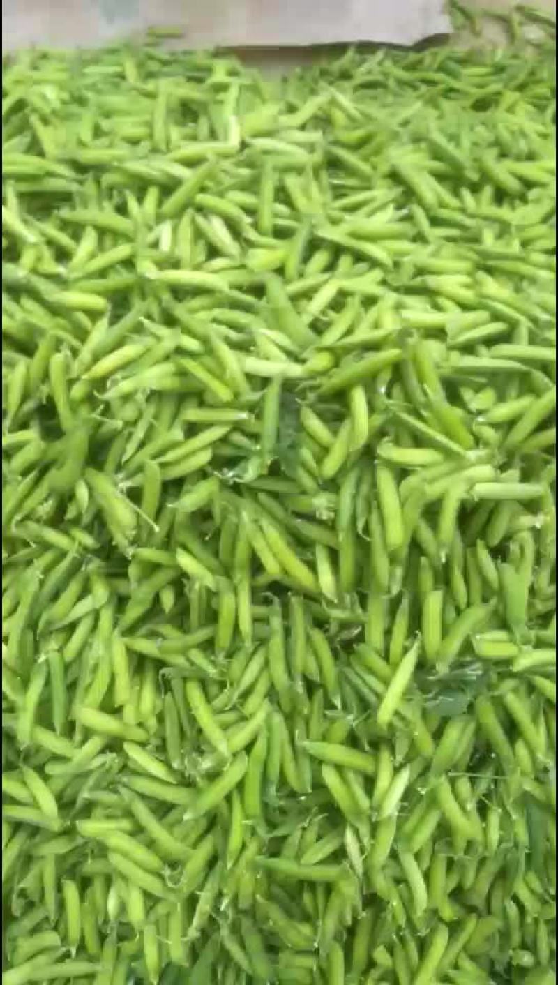 豌豆