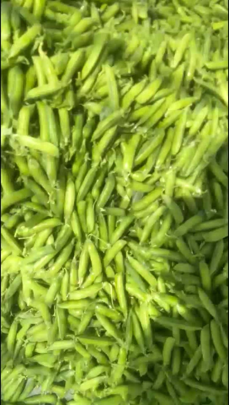豌豆