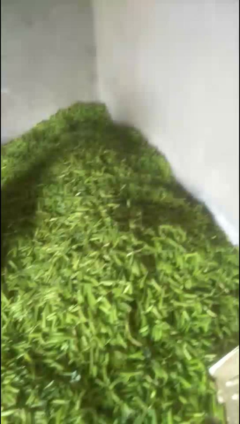 豌豆