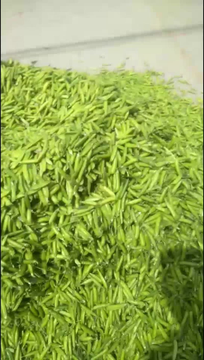 豌豆