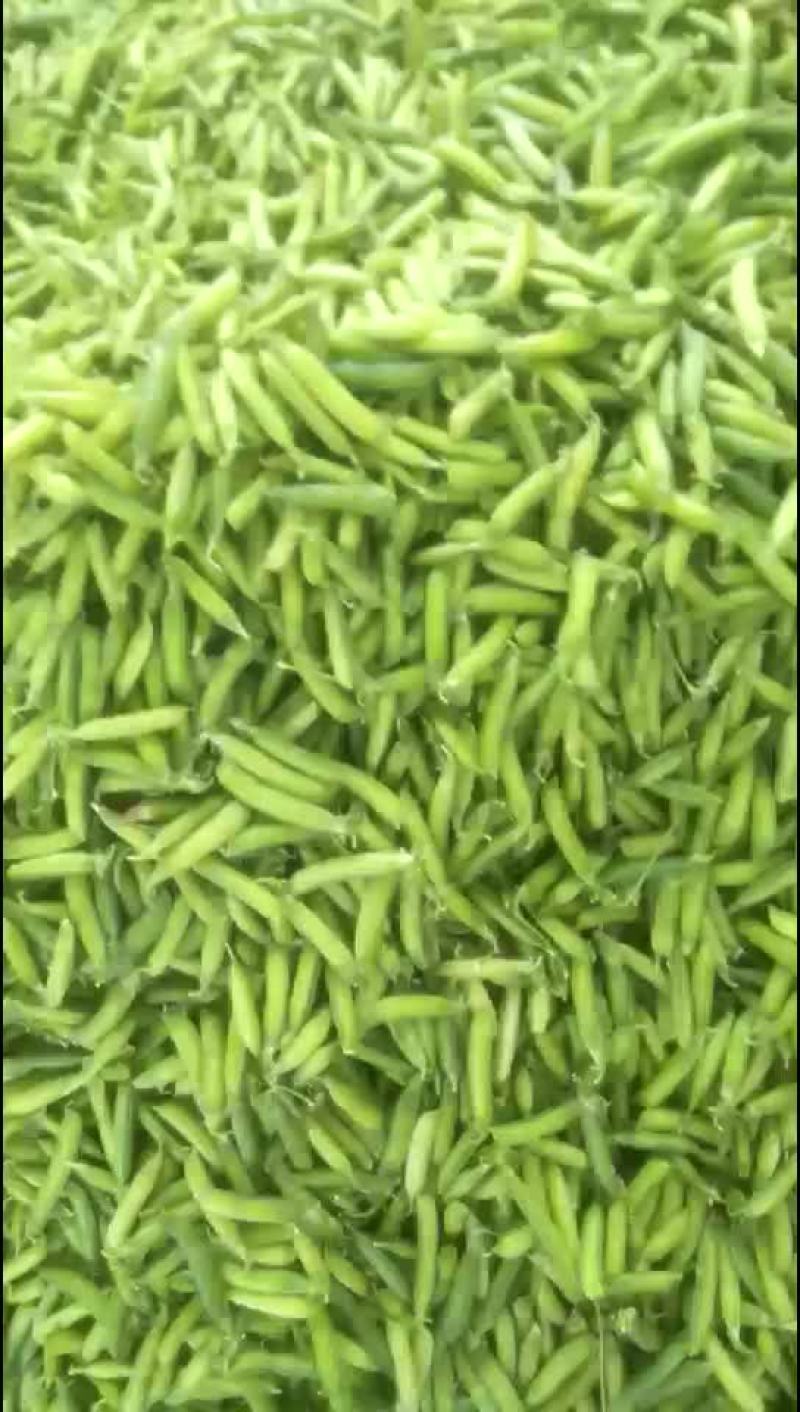 豌豆