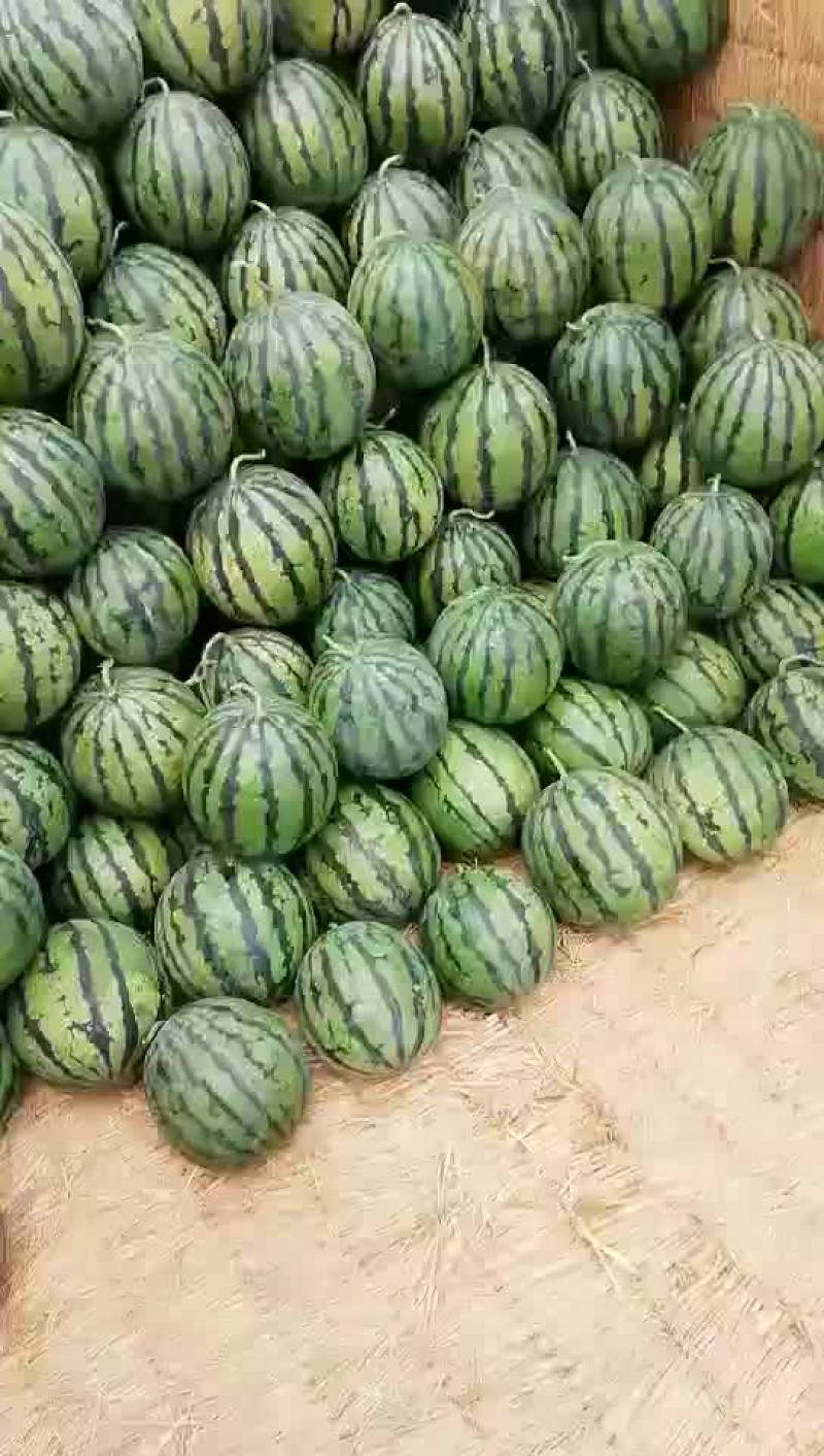 京欣甜王