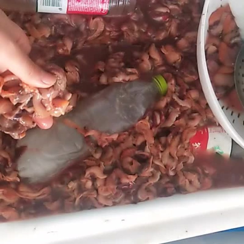 赤贝边