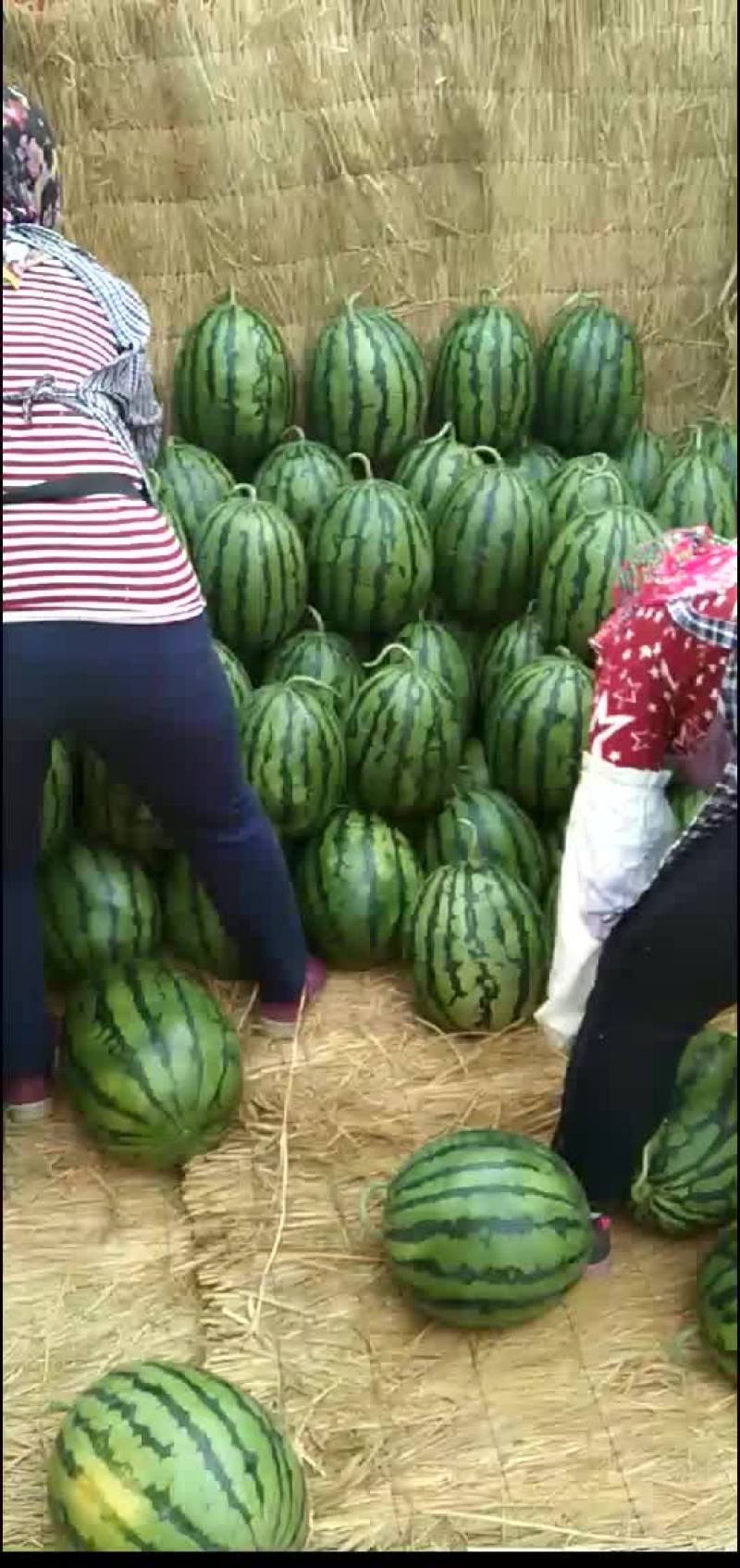 甜王