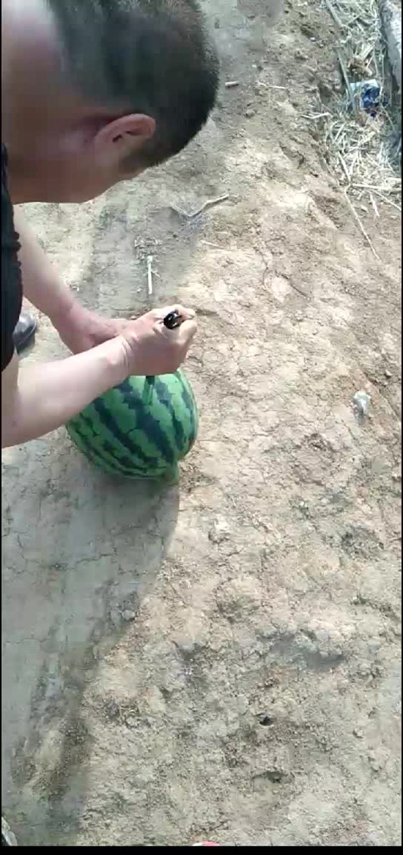 甜王