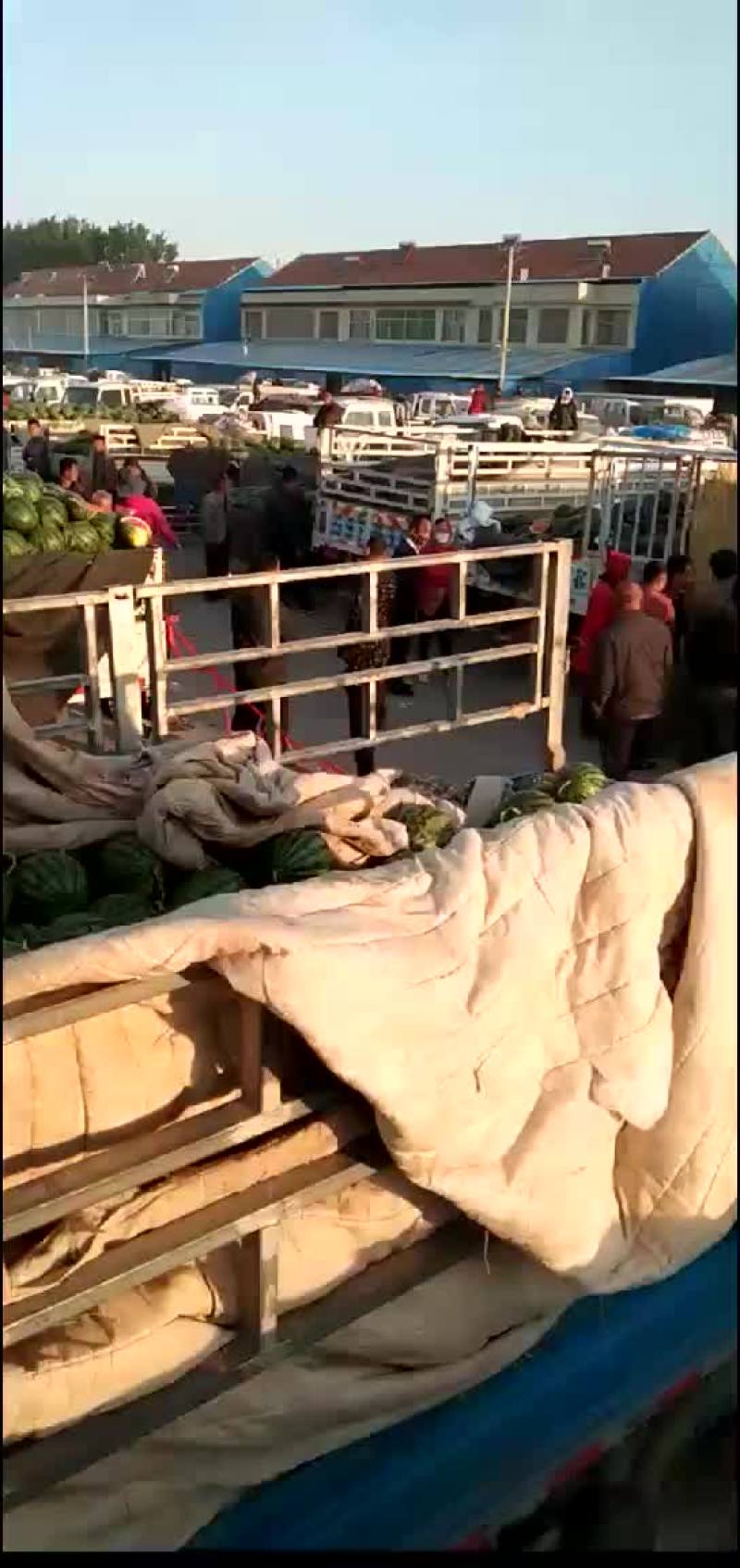 甜王