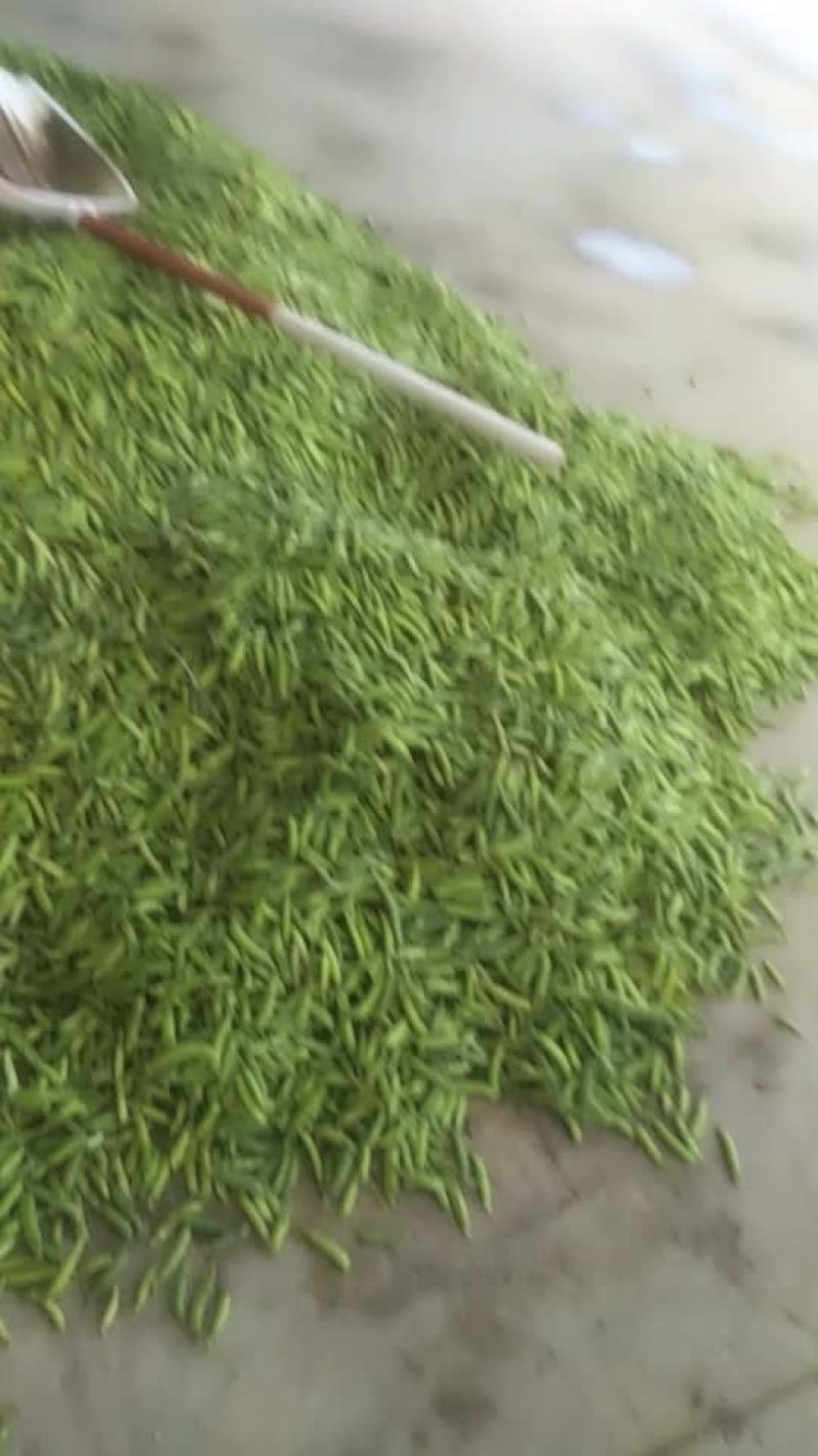 豌豆