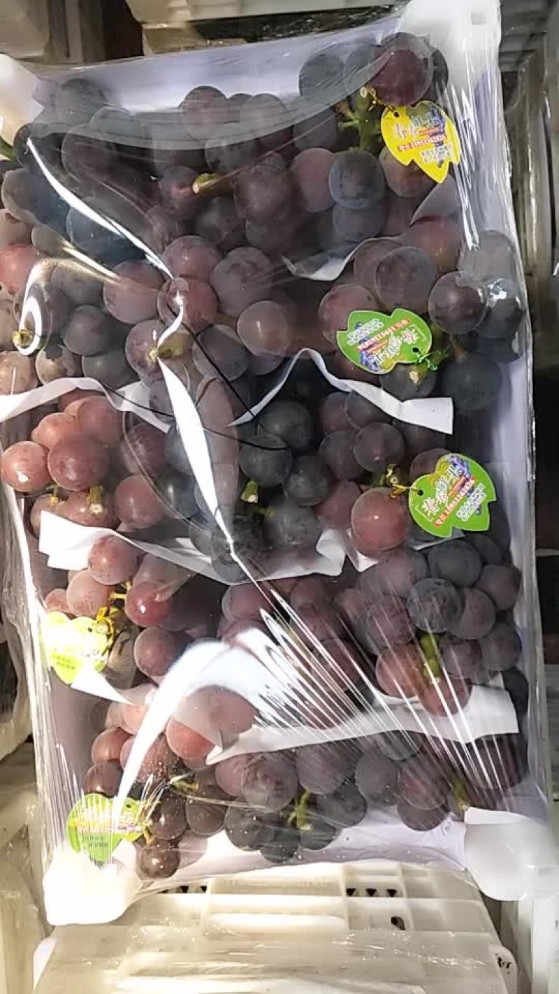 葡萄大量上市啦，