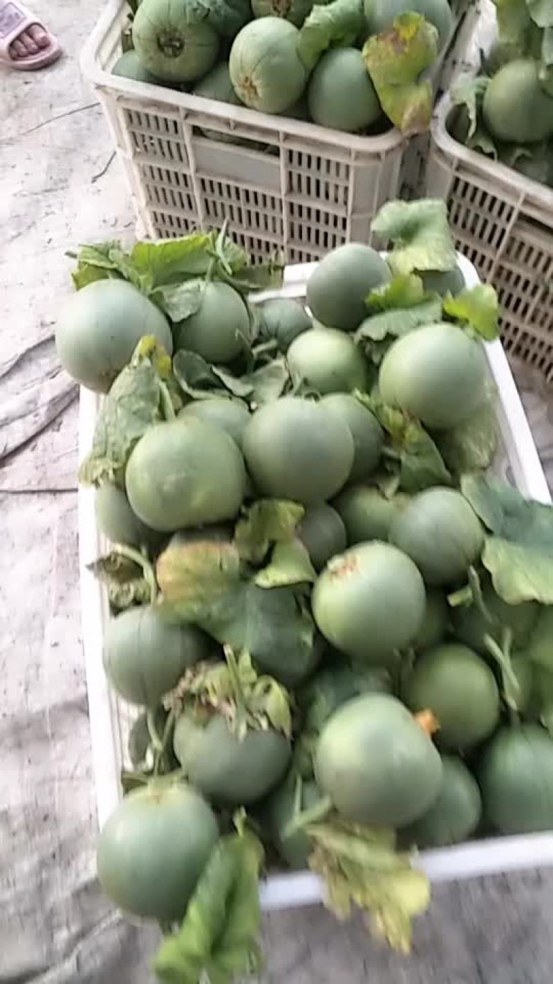 精品绿宝石