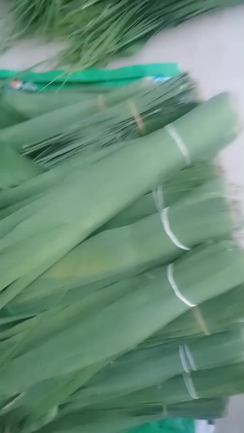 芦苇叶，
