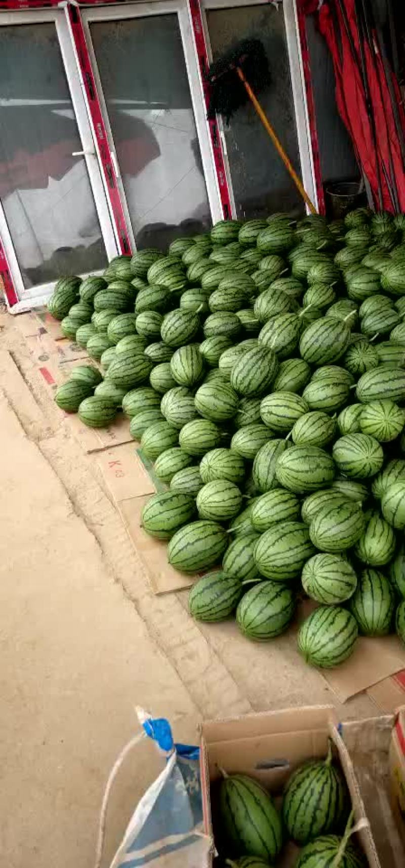 精品小吊瓜，2k大量上市