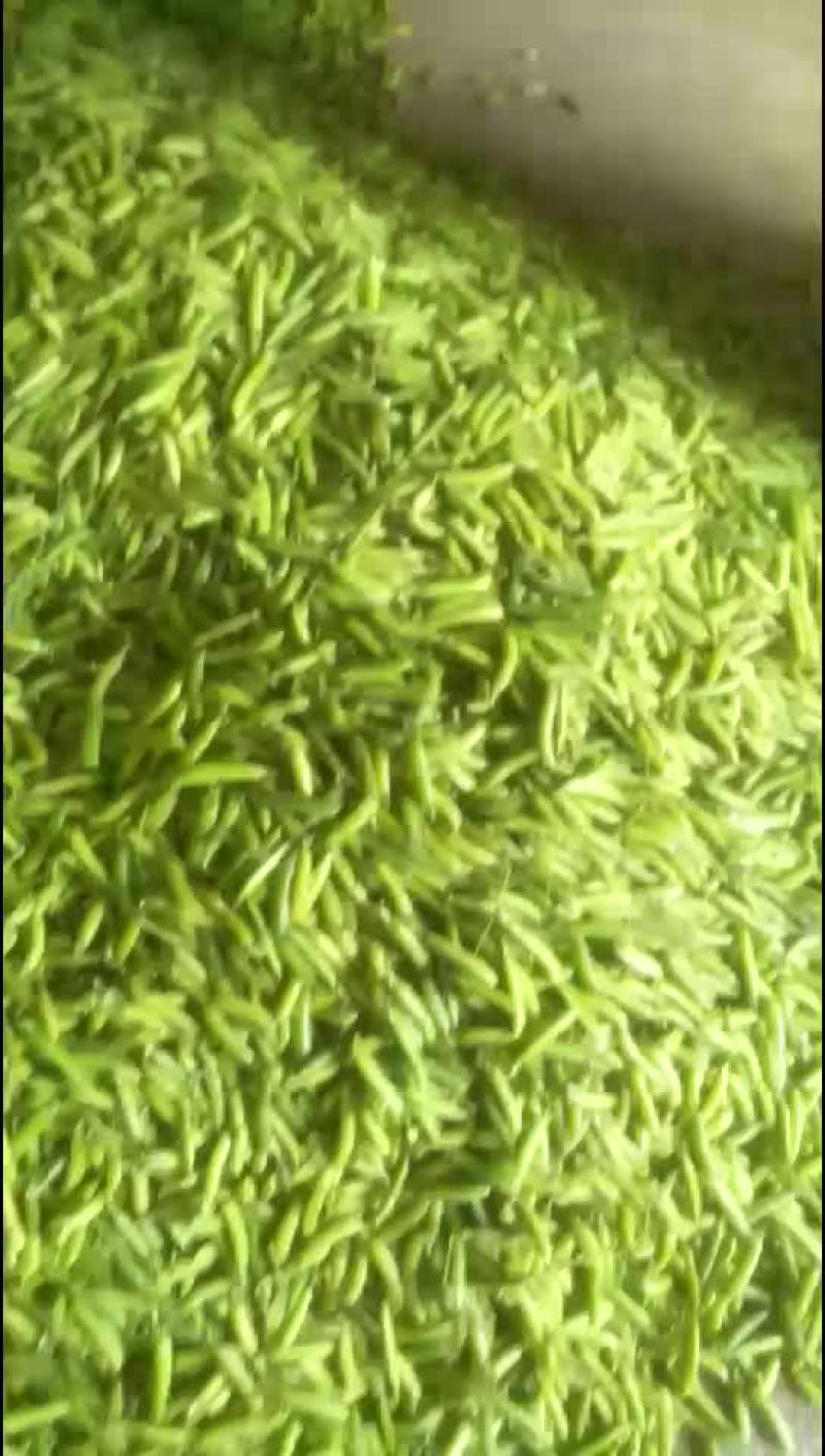豌豆
