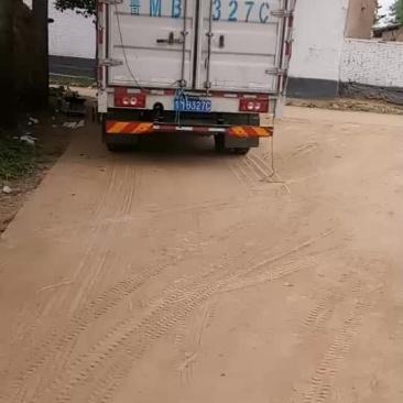 美早红灯