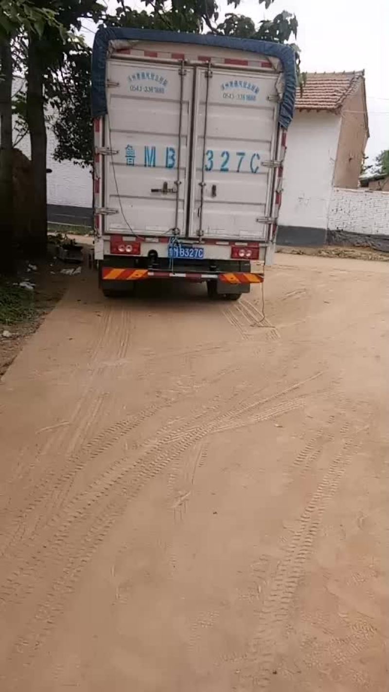美早红灯
