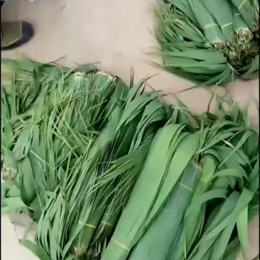 粽叶
